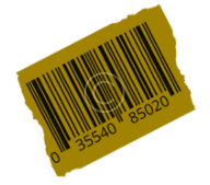 Imagen de ticket del concierto